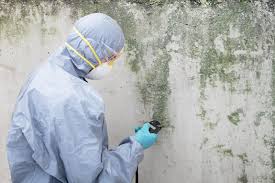 Best Commercial Mold Inspection in East Islip, NY